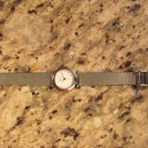 Genuine Skagen Stainless Steel Women's Watch
